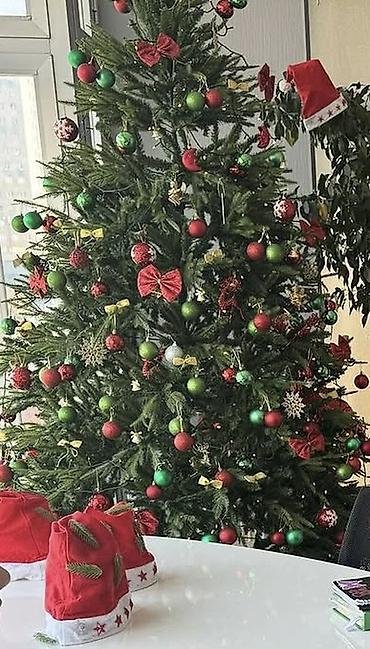 Yeni il ağacları: Yolka, şam ağacları, oyuncaqları, işıqları — 2