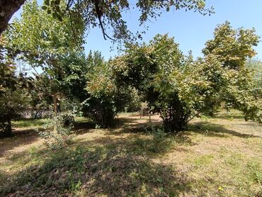 аренда и продажа недвижимости: 22 соток, Для строительства, Риэлтор, Купчая