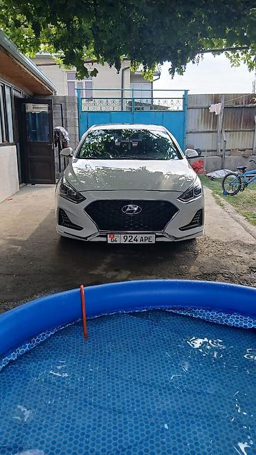 краски на авто: Hyundai Sonata: 2019 г., Седан — 1