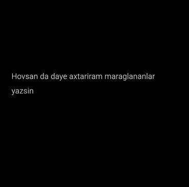 Anbar: Xidmət: Hovsan ərazisində dayə axtarışı Təsvir: - Hovsan ərazisində