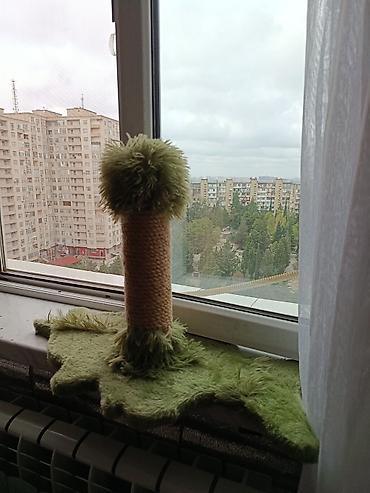 Pişik üçün dırmaşma və dırnaq itiləmə dirəyi - Model: kompakt
