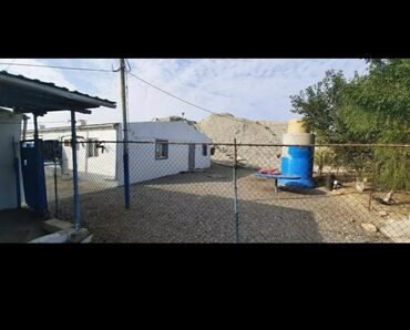 Kommersiya daşınmaz əmlakının satışı: Xızı rayonunda yerləşən bu fermer təsərrüfatı heyvandarlıq üçün geniş — 2