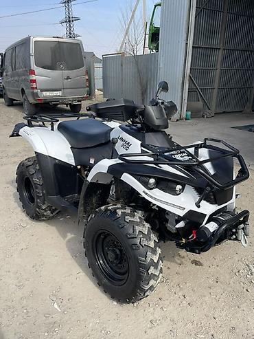 Квадроциклы: Квадроцикл Linhai 300 (4x4) - Мощный утилитарный ATV с полным — 9