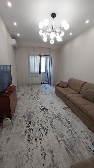 50: 1 комната, 50 м², Золотой квадрат Элитка, 8 этаж, Евроремонт — 7