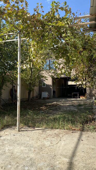 Bağ evlərinin satışı: Bakı, Novxanı, 100 kv. m, 3 otaqlı, Hovuzsuz, Qaz, İşıq, Su — 6