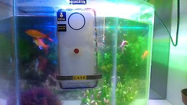 vətən n muhafizə: Məhsul: Telefon üçün qoruyucu üzlük (Protective Series Case) - Tip — 1