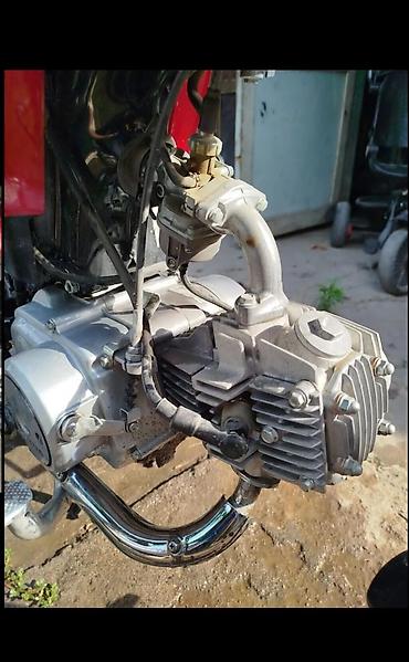 хонда cmx: Аренда 700 сом нужен категория А. Бишкек Honda CD70 — легкий — 4