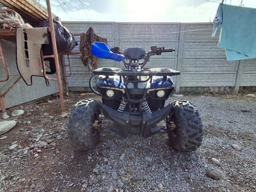 купить машину за 5000 долларов: Квадроцикл Бензин, 130 куб. см, Детский