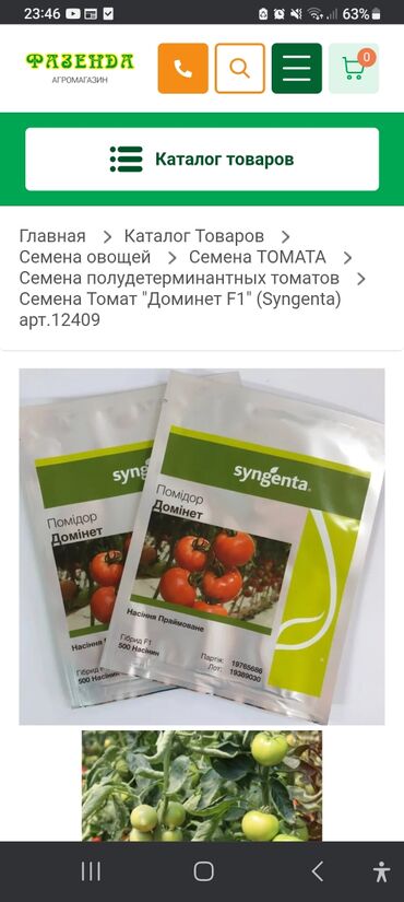 Toxumlar: Məhsul: Toxumlar – Rijk Zwaan və Enza Zaden hibridləri • Rijk Zwaan – — 6