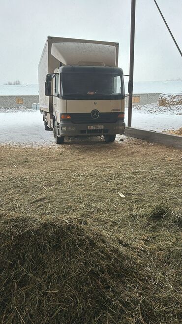 Грузовики: Грузовик, Mercedes-Benz, Стандарт