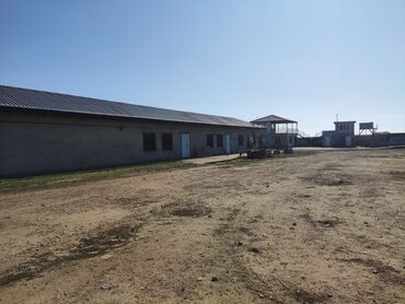 Torpaq sahələrinin satışı: 250 sot, Maklerlər narahat etməsin, Kupça (Çıxarış) -da lalafo.az — 8 Torpaq sahələrinin satışı: 250 sot, Maklerlər narahat etməsin, Kupça (Çıxarış) — 8