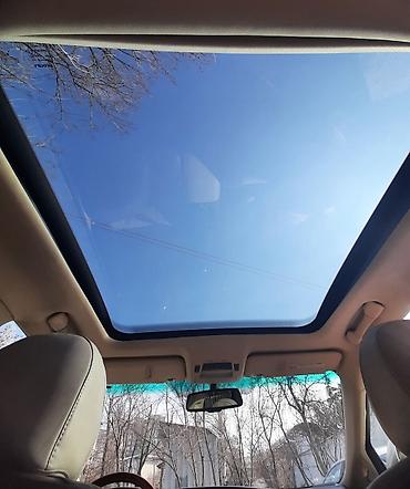 Lexus: Lexus RX: 2009 г., 3.5 л, Автомат, Бензин, Кроссовер — 6