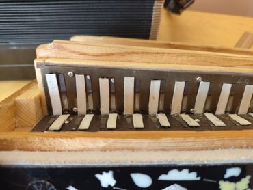 Akkordeonlar: Akustik Akkordeon, Yeni, Ödənişli çatdırılma — 12