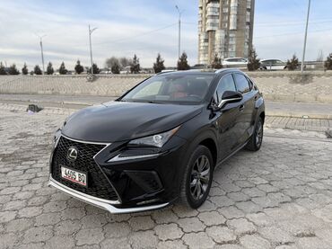 Lexus: Lexus NX: 2019 г., 2 л, Бензин, Кроссовер — 1