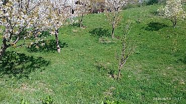 Долгосрочная аренда домов: 220 м², 6 комнат — 17