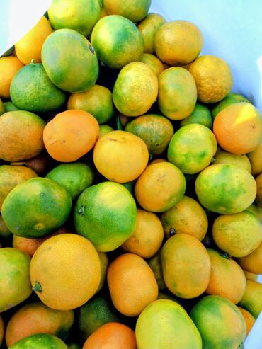 сколько стоит грамм золота лом в баку: Bal kimi mandarin Şip-şirin 👍🏻 Çatdırılma minimum 3 kg 🚚 📞 Əlaqə