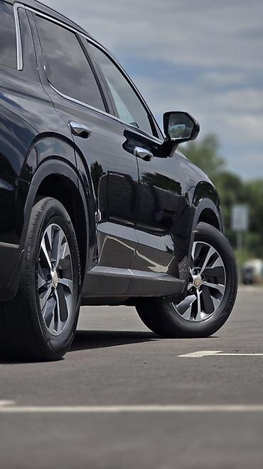 cls 55: Hyundai Palisade: 2019 г., 2.2 л, Автомат, Дизель, Кроссовер — 3