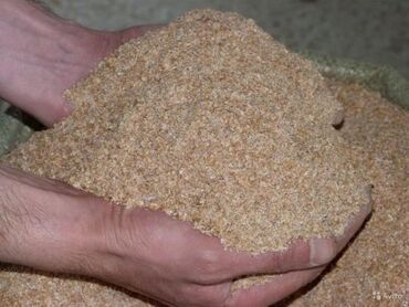 отруби рисовые: Отруби по 11с Кара балта оптом и россыпью