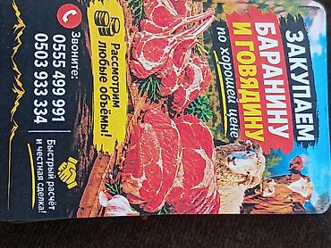 ориг пантера: Колбасный цех : Бараны, овцы, | На забой, на мясо — 1