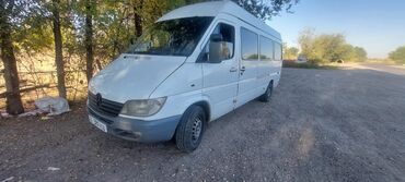 Mercedes-Benz: Mercedes-Benz Sprinter: 2001 г., 2.9 л, Механика, Дизель, Бус