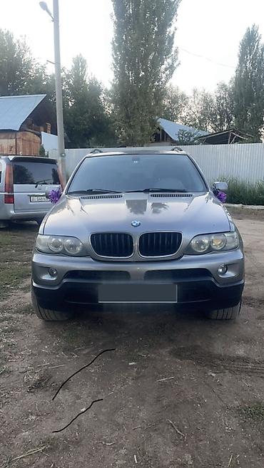 BMW X5: 2003 г., 3 л, Бензин, Внедорожник