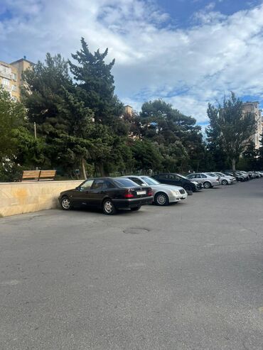 Uzunmüddətli kirayə mənzillər: Əhmədli də Şirvani kucesinde yerlesen abad mehelede 9 mertebeli -da lalafo.az — 19 Uzunmüddətli kirayə mənzillər: Əhmədli də Şirvani kucesinde yerlesen abad mehelede 9 mertebeli — 19