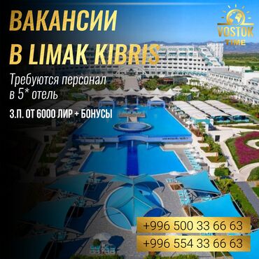 турка in Кыргызстан | ПТИЦЫ: 000583 | Турция. Отели, кафе, рестораны. 6/1
