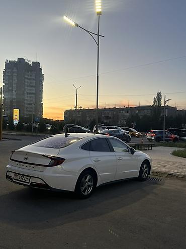 pirelli p zero: Сдаётся в аренду HYUNDAI SONATA DN 8 2020 экономичный обём 2 газ — 2