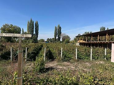 Продажа участков: 48 соток, Для строительства, Договор купли-продажи, Красная книга, Тех паспорт — 7