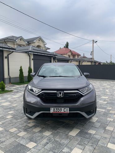 продажа хонда срв: Honda CR-V: 2020 г., 1.5 л, Вариатор, Бензин, Кроссовер