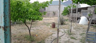 Həyət evləri və villaların satışı: Salam sexsi evimizi satib tecili kocuruk 8 sotda 5 otaqli kamunallari — 12