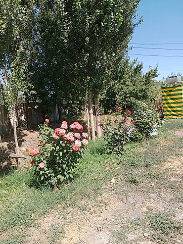 Продажа коттеджей и домов: 6 комнат жер уй сатылат. Короо тосулган чон зал, спальный, детский — 24