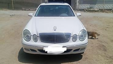 passat 2004: Mercedes-Benz E 320: 3.2 l | 2004 il Sedan — 1