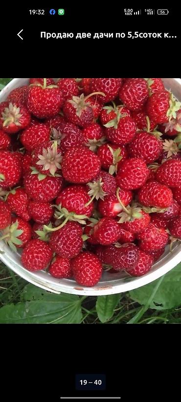 Продажа дач: Продаются дачные участки с домом. Объект: - Кирпичный дачный дом на — 5