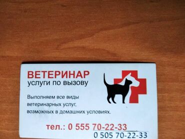 Услуги ветеринара: Ветеринар на выезд - оказание профессиональных и качественных