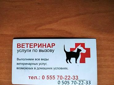 Животные: Ветеринар на выезд - оказание профессиональных и качественных — 1