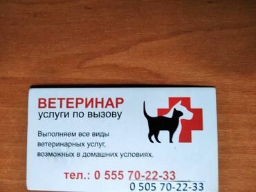 дом кота: Ветеринар на выезд - оказание профессиональных и качественных