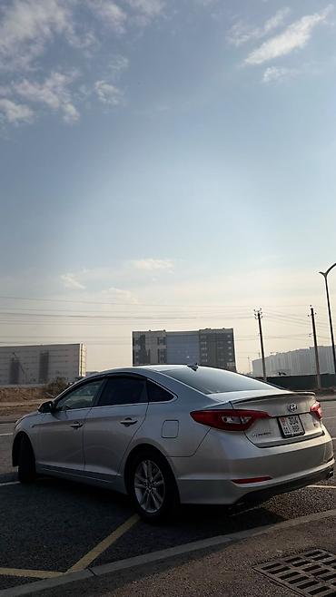 хендай соната 2016 цена: Hyundai Sonata: 2016 г., 2.4 л, Автомат, Бензин, Седан — 5