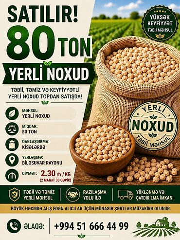 balıq məhsullarının satışı: Məhsul: Yerli noxud Miqdar: 80 ton (topdan satış) Məhsul — 1