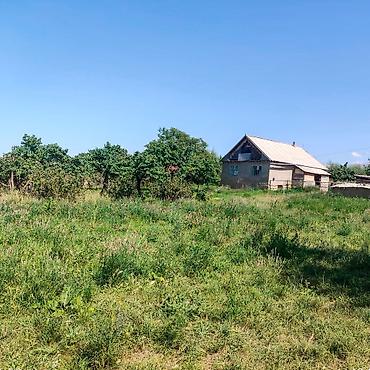 5: 🏡 Продаётся дом с большим участком и плодоносящим садом в селе — 7