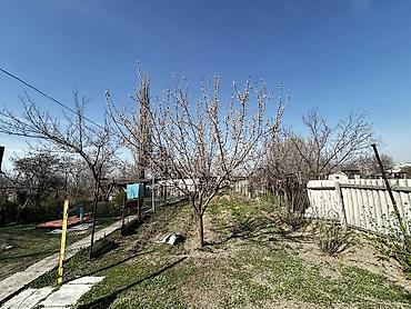 Продажа коттеджей и домов: Продаётся участок в селе Новопавловка! Площадь: 8,5 соток. Дом — 8