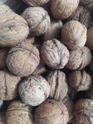 Сухофрукты, орехи, снеки: Продам грецкие орехи, Бишкек, три мешка примерно по 30кг 100с за 1кг