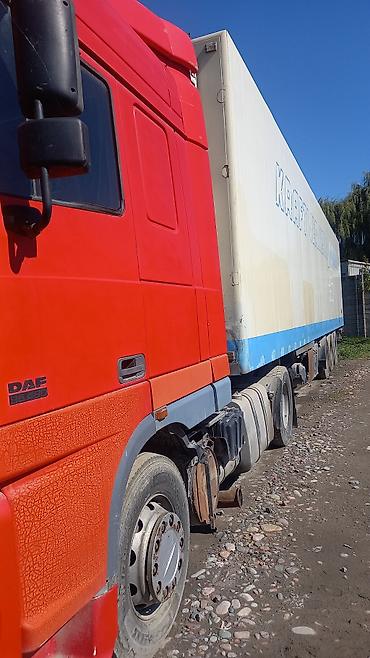Тягачи: Тягач, DAF, Холодильник, рефрижератор — 4