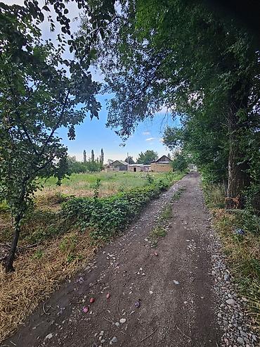 зеленый городок: 5 соток, Для сельского хозяйства, Красная книга — 2