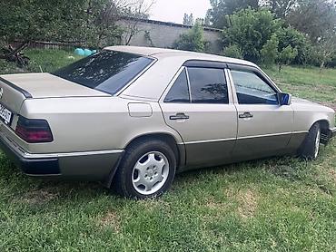 авто полироль: Mercedes-Benz W124: 1990 г., 2.3 л, Механика, Бензин, Седан — 6