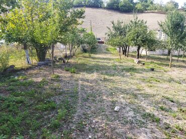 Torpaq sahələrinin satışı: 24 sot, Kənd təsərrüfatı, Kupça (Çıxarış) — 4