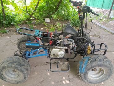 Квадроцикл Бензин, 110 куб. см, Балдар үчүн