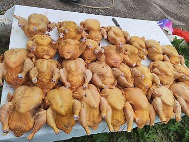тушки кур: Домашние куры-бройлеры, потрошёные, подготовленные к приготовлению. - — 5