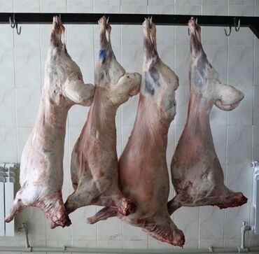 баран матка: Мясо Баранина Домашнее домашнее мясо баранины на заказ бесплатная
