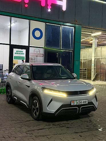 BYD: BYD Yuan Up: 2024 г., Автомат, Электромобиль, Кроссовер — 3